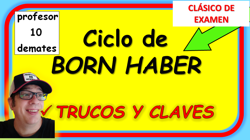 CICLO DE BORH HABER EJERCICIOS RESUELTOS PDF 2 BACHILLERATO