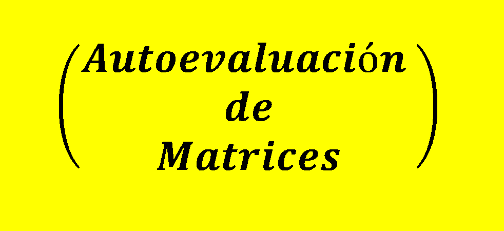 autoevaluacion de matrices