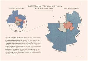 Gráfico Circular