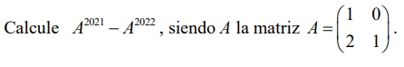 MATRICES 2 BACHILLERATO EJERCICIO RESUELTO DE EXAMENES SELECTIVIDAD