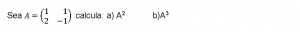 potencias de matrices 2x2 ejercicios resueltos