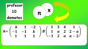 matrices y determinantes 2 bachillerato