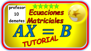 ecuaciones matriciales resueltas