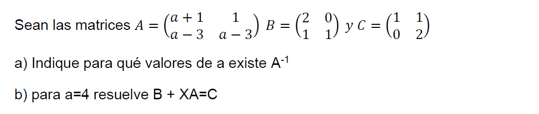 ecuaciones con matrices 2x2 y con parámetros