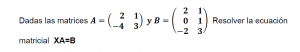 ecuaciones matriciales resueltas 2x2