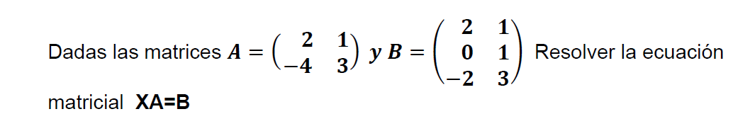 ecuaciones matriciales resueltas 2x2 