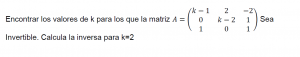 matrices inversas 3x3 con parámetros como calcularlas ejercicios resueltos