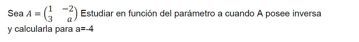 matrices inversas 2x2 con parámetros ejercicios resueltos como se calcula