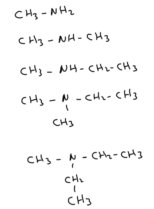 aminas ejercicio resuelto formulación orgánica