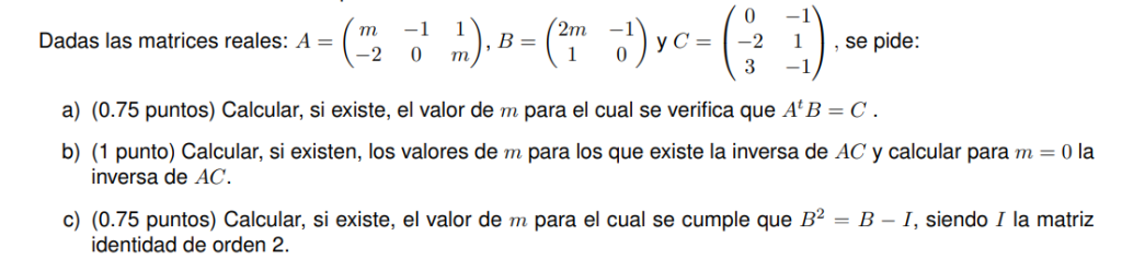 MADRID SELECTIVIDAD 2023 EVAU MATEMATICAS EJERCICIO DE MATRICES Y DETERMINANTES SOLUCION RESUELTO