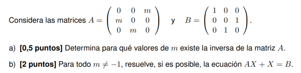ecuacion con matrices y parametros resuelta